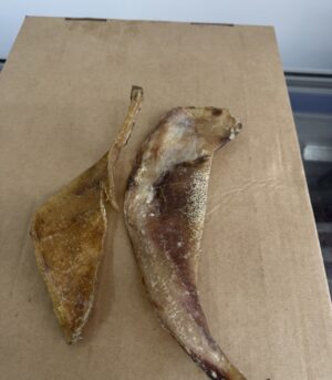 Beef Cartilage