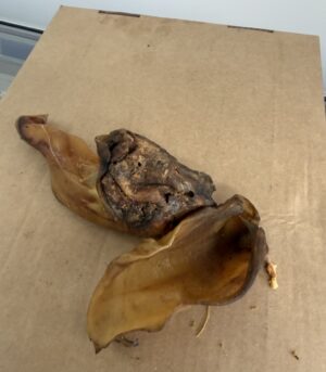Small Buffalo Ears