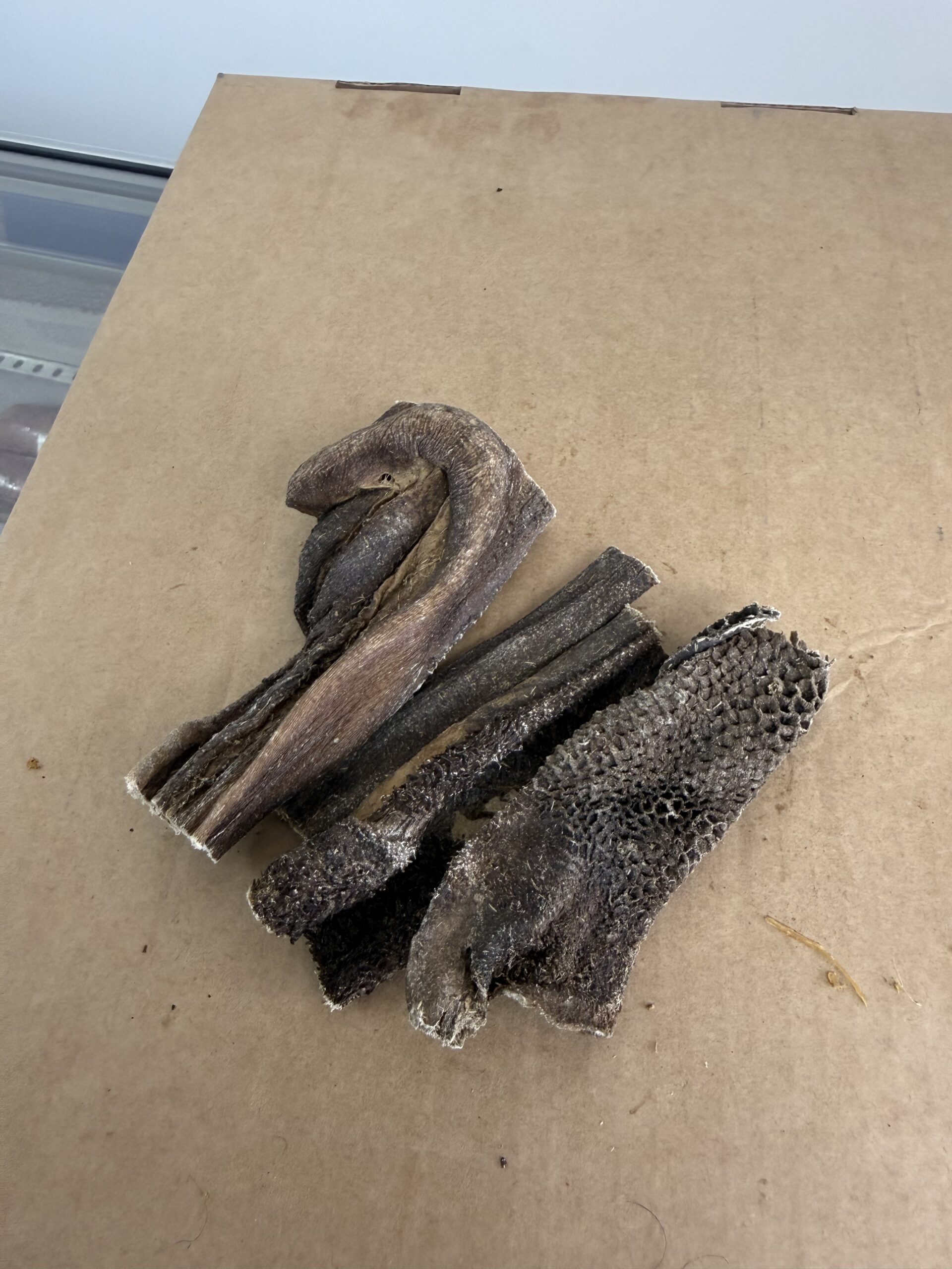 Tripe Skicks