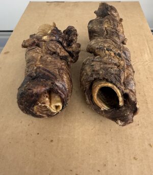 Wrapped Buffalo Trachea