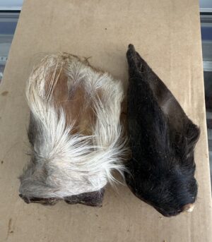 Naturals Hairy Cow Ears