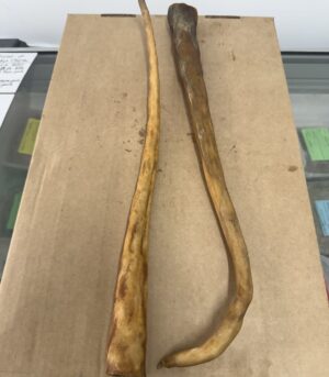 Lamb Tails