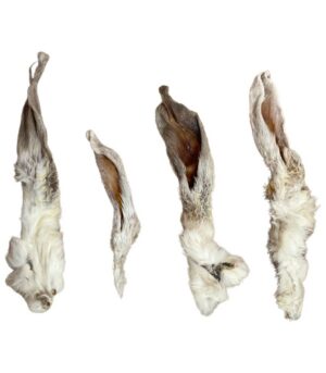 Rabbit ears