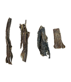 Goat Tripe