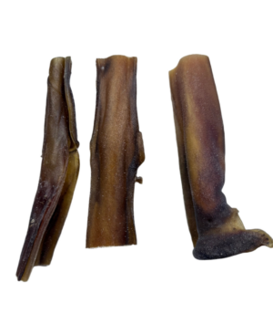 Camel Skin