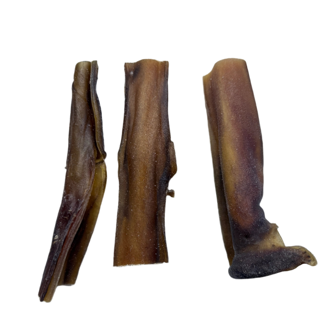 Camel Skin