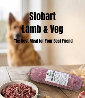 Lamb & Veg