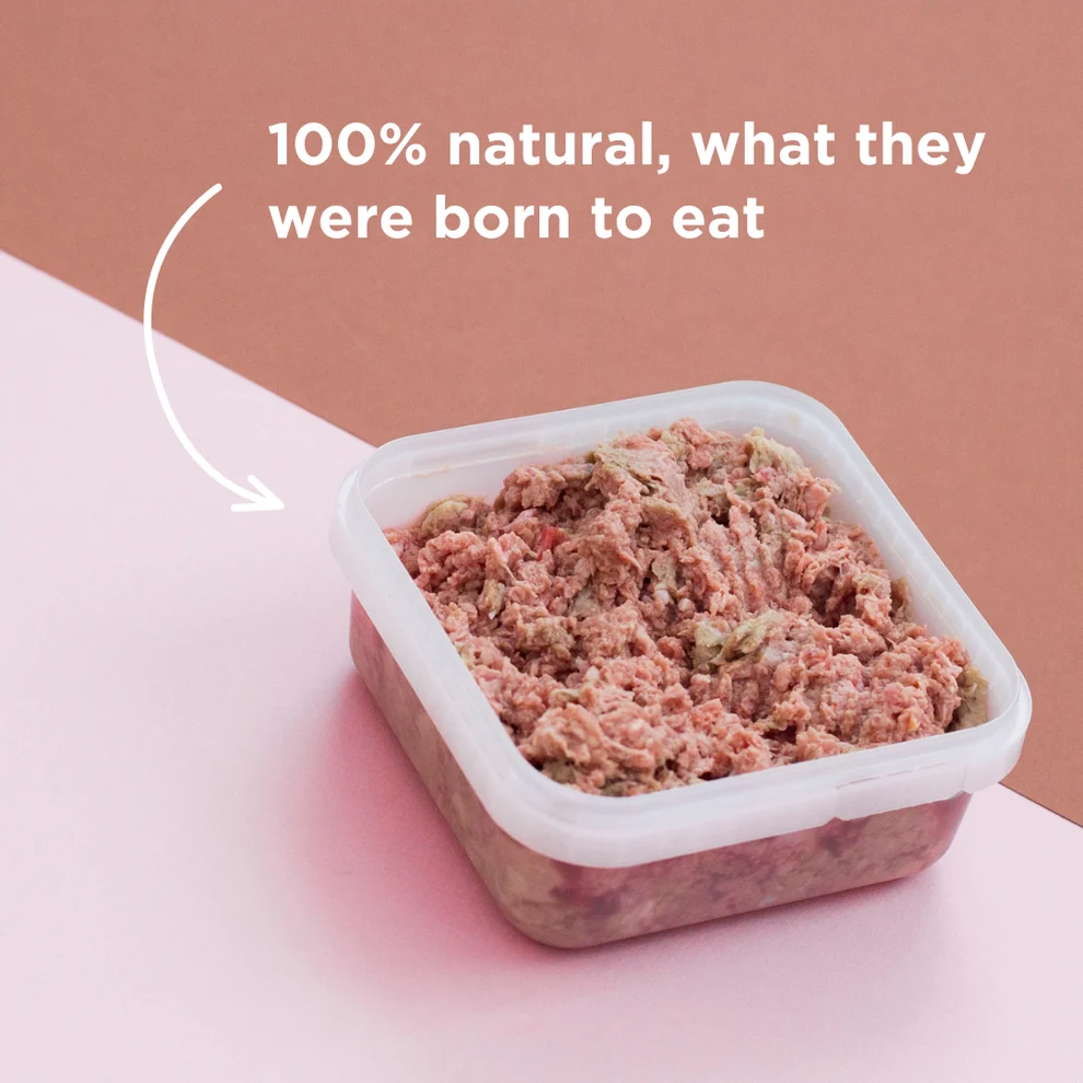 Turkey Raw Dog Food - 500g - Image 3