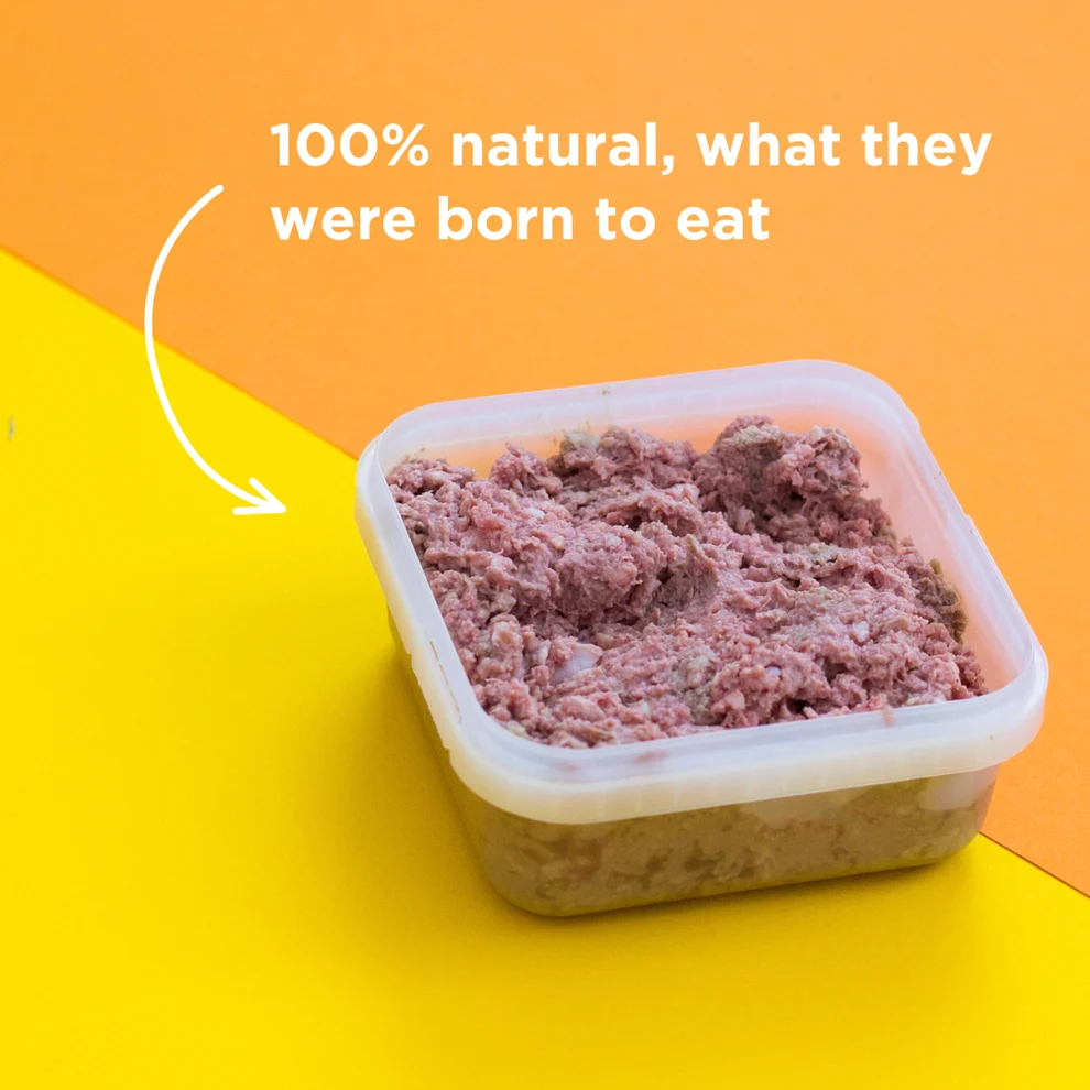 Lamb Raw Dog Food - 500g - Image 3
