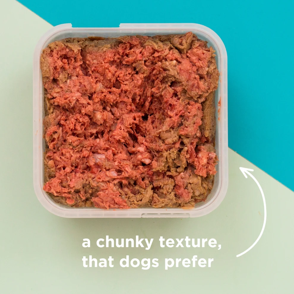 Exotic Meaty Mince Raw Dog Food - 500g - Image 3